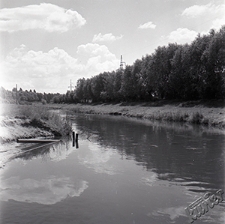 Rzeka Bystrzyca w Lublinie w okolicach Parku Ludowego