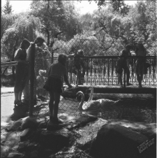 Ogr&oacute;d Saski w Lublinie - ludzie na mostku nad stawem