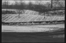 Pola w dzielnicy Śr&oacute;dmieście w Lublinie