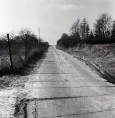 Zdjęcia z kolekcji Transfiguracje