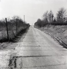 Zdjęcia z kolekcji Transfiguracje