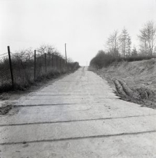 Zdjęcia z kolekcji Transfiguracje