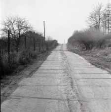 Zdjęcia z kolekcji Transfiguracje