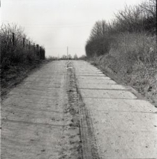 Zdjęcia z kolekcji Transfiguracje