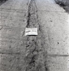 Zdjęcia z kolekcji Transfiguracje