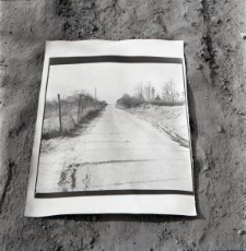 Zdjęcia z kolekcji Transfiguracje