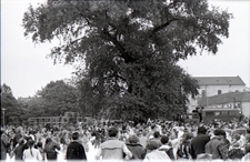 Pokazy strażackie na Placu Litewskim w Lublinie - tłum wok&oacute;ł Baobabu