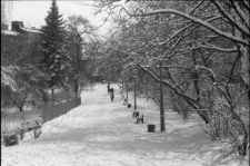 Gł&oacute;wna aleja w Ogrodzie Saskim w Lublinie