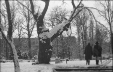 Spacer w Ogrodzie Saskim w Lublinie