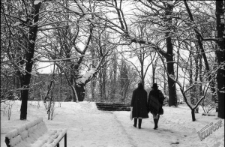 Spacer po zimowym Ogrodzie Saskim w Lublinie