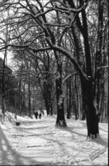 Zimowy Ogród Saski w Lublinie