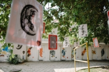 Podw&oacute;rko Alicji w Krainie Czar&oacute;w