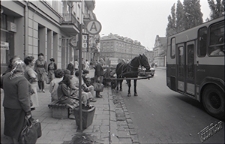 Ulica Narutowicza w Lublinie - furmanka na przystanku niedaleko Placu Wolności