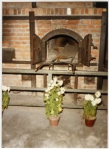 Ob&oacute;z koncentracyjny na Majdanku