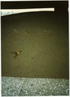 Kopiec - Mauzoleum w obozie na Majdanku