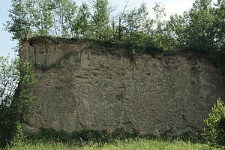 Ściana wyrobiska cegielnianego