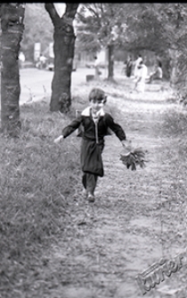 Ullica R&oacute;ży Luksemburg w Lublinie - dziecko z liśćmi