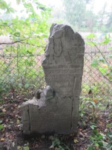 Macewa na cmentarzu żydowskim w Kraśniczynie