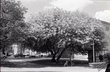 Plac Litewski w Lublinie - przy Pałacu Czartoryskich