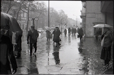 Krakowskie Przedmieście w Lublinie w deszczu, widoczny przystanek MPK