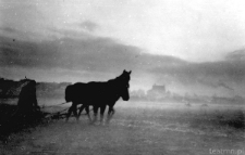 Panorama Kalinowszczyzny z oraczem