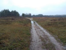 Teren cmentarza żydowskiego w Chodlu