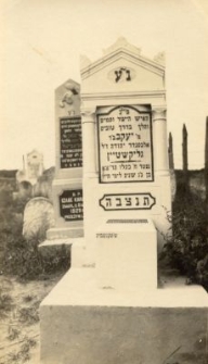 The tomb of Jacob Glickstein