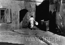 Yard of the property on Krawiecka Street