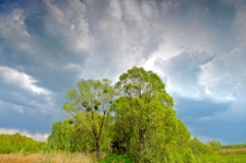 Droga wśr&oacute;d bagien Polesia