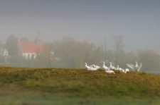 Poranek w Jeziorzanach