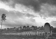 Macewa na Nowym Cmentarzu Żydowskim w Lublinie