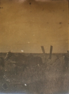 Kosiarka konna w majątku ziemskim w Łopienniku