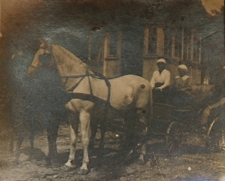 Dorożka przed dworem w Łopienniku