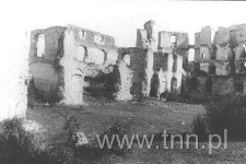 Ruiny Zamku janowieckiego