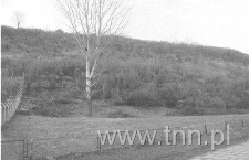 Teren po kirkucie w Janowcu nad Wisłą