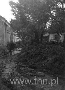 Regulacja Czechówki