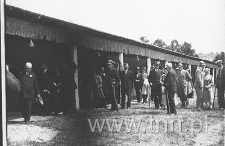 Krajowa Wystawa Koni w Lublinie