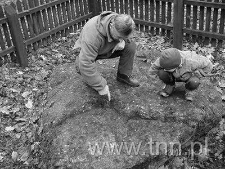Jeden z kamieni granicznych między Koroną a Litwą
