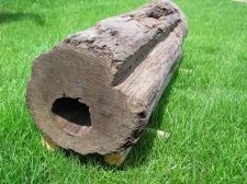 Drewniana rura wodociągowa