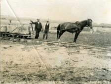 Pracownicy przy konnej wąskotor&oacute;wce podczas budowy rzeźni miejskiej w 1926 roku