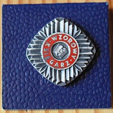 Srebrne odnaczenie "Wzorowy księgarz"