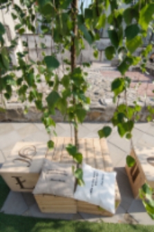 Terytoria Poezji na Placu Po Farze