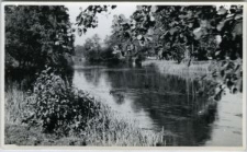 Rzeka Bystrzyca na wysokości obecnej ulicy Krężnickiej