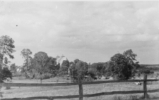 Wojsławice. Widok od strony pałacu