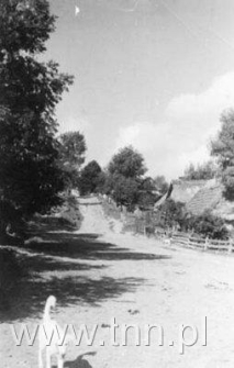 Pirat na ul. Grabowieckiej