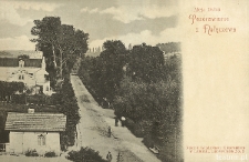 Nałęcz&oacute;w - Aleja Dolna