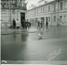 Widok na r&oacute;g Krakowskiego Przedmieścia i ulicę Staszica w Lublinie