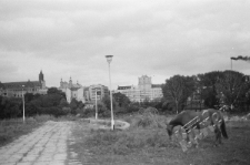 Tereny zielone przy ulicy Rusałka w Lublinie