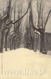 Aleja Gotycka w parku puławskim