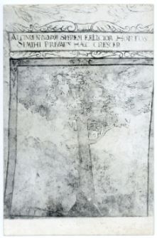 Fragment polichromii w piwnicy pod Fortuną.